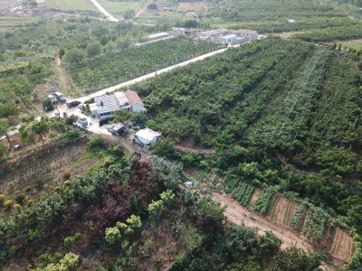牟平区新垦庄村30亩果园图4