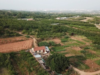 牟平区新垦庄村45亩果园图4