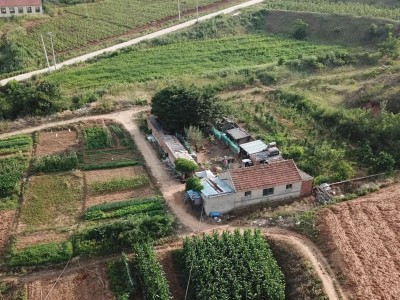 牟平区新垦庄村45亩果园图5