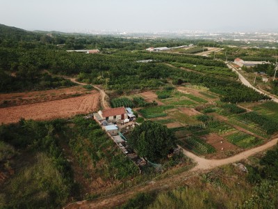 牟平区新垦庄村45亩果园图7