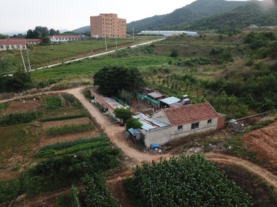 牟平区新垦庄村45亩果园图9