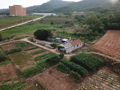牟平区新垦庄村45亩果园图10