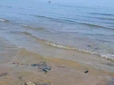 牟平区养马岛东南海域出售图5