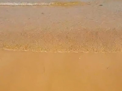 牟平区金山港大片海域出租图2