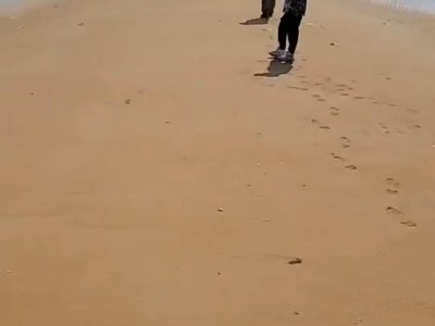 牟平区金山港大片海域出租图5