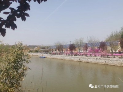 牟平区高陵镇附近山庄转让图3