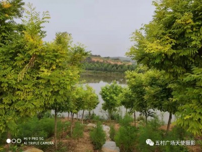 牟平区高陵镇附近山庄转让图6