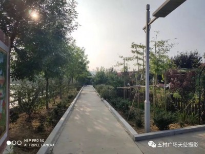 牟平区高陵镇附近山庄转让图8