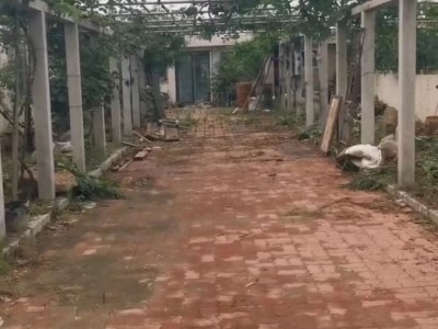 牟平区北松山村花棚图6