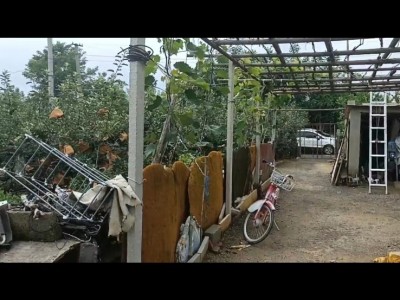 莱山区莱山镇周边果园可做会所图6