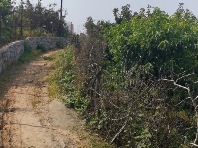 天籁花园东山果园图10