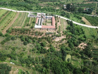 牟平区文化街道附近果园出售图2