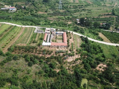 牟平区文化街道附近果园出售图3