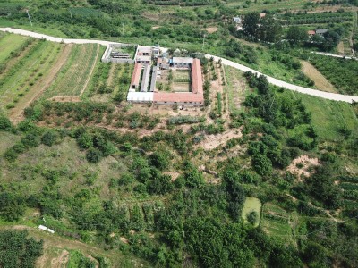 牟平区文化街道附近果园出售图4