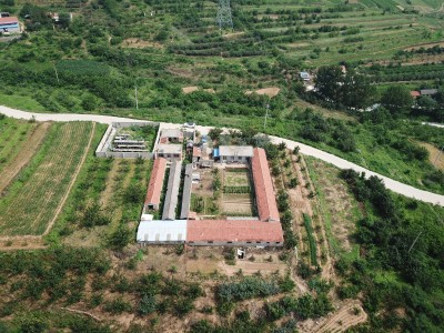 牟平区文化街道附近果园出售图7