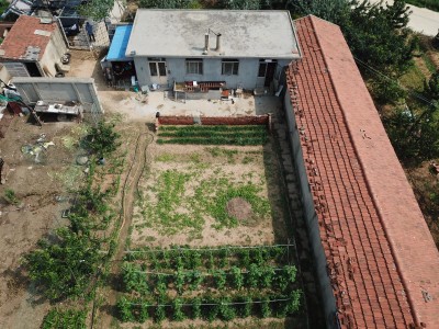 牟平区文化街道附近果园出售图9