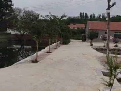 莱山区植物园附近垂钓水塘出租图4
