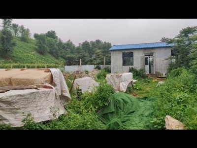 芝罘区牟村附近两亩带房土地出租图4