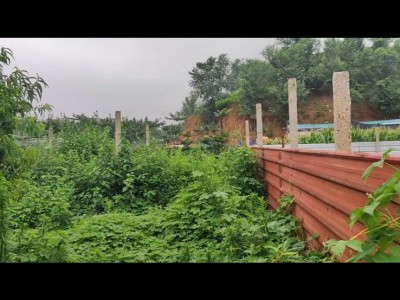 芝罘区牟村附近两亩带房土地出租图2