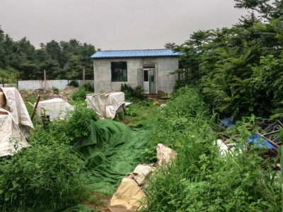 芝罘区牟村附近两亩带房土地出租图5