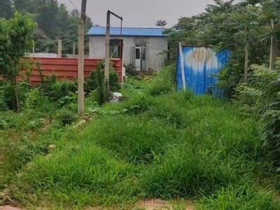 芝罘区牟村附近两亩带房土地出租图7
