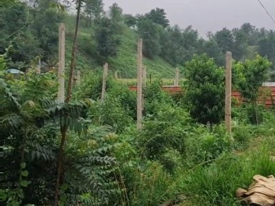 芝罘区牟村附近两亩带房土地出租图8