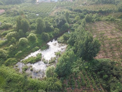 莱山区东解家庄村32亩果园图2