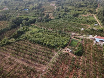 莱山区东解家庄村32亩果园图8