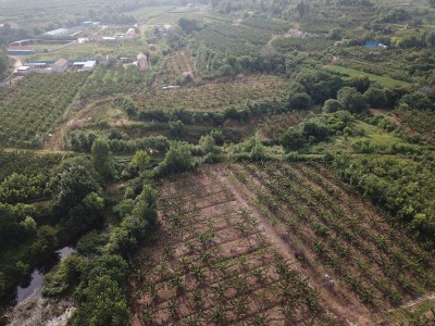莱山区东解家庄村32亩果园图9