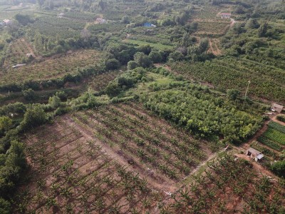 莱山区东解家庄村32亩果园图10
