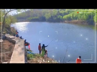 莱山区解甲庄林家疃垂钓园图9