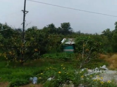 莱山区高铁南站附近土地出售图4