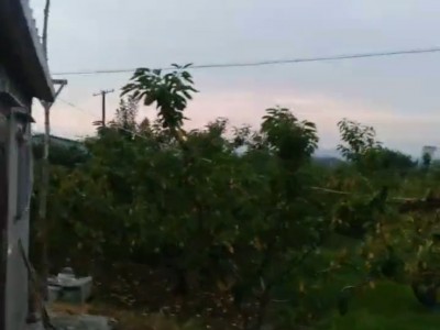 莱山区高铁南站附近土地出售图5