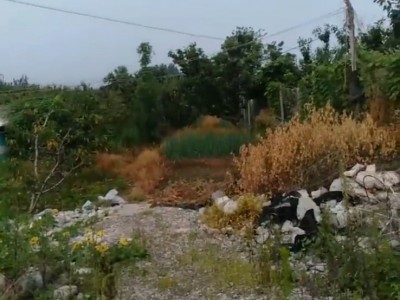 莱山区高铁南站附近土地出售图3