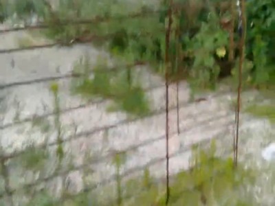 莱山区高铁南站附近土地出售图6