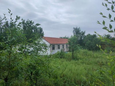 莱山区解甲庄周边31亩带房土地出售图6