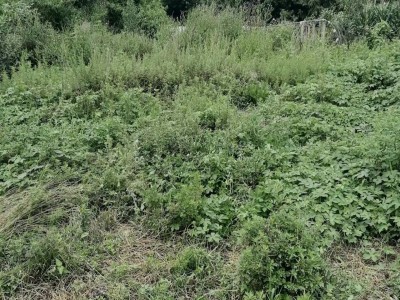 芝罘区汽车南站附近3亩土地图6