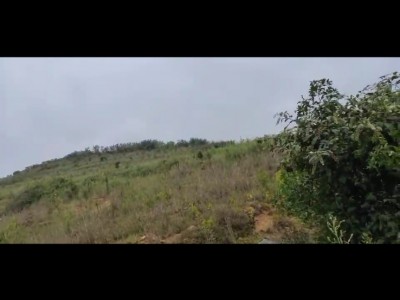 福山区回里周边千亩山峦图5