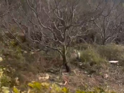 芝罘区胜利路隧道南带房空土地图3