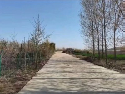 海阳市碧桂园旁土地租售(海滨路北侧)图4